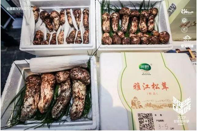 满载荣光的路上 你我同在