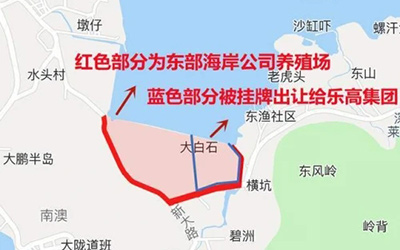 深圳大鹏 800亩土地出让给乐高集团 东部海岸公司受益有多少？_图片新闻