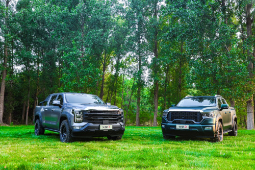 中国国民皮卡“大”玩家 火星皮卡11.68万起燃擎上市