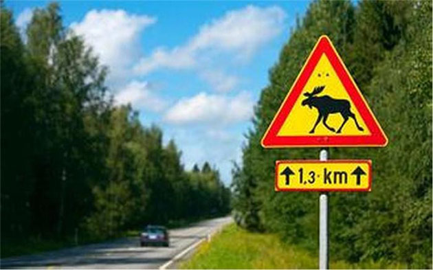 SUV超70公里通过麋鹿测试意味着什么？