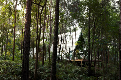 新年精致露营 沉浸体验青山周平X冠道的新适界