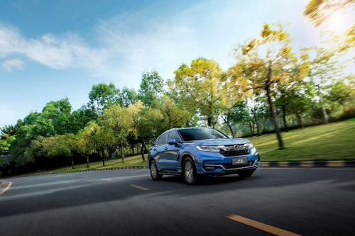 新年精致露营 沉浸体验青山周平X冠道的新适界