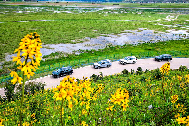 五/七座SUV品质首选 瑞虎8冠军家族全家出行的“最佳伙伴”