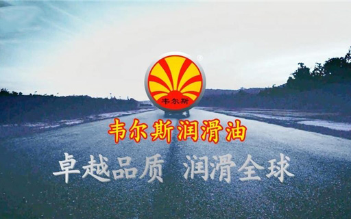 质量为本——韦尔斯再获荣誉_图片新闻