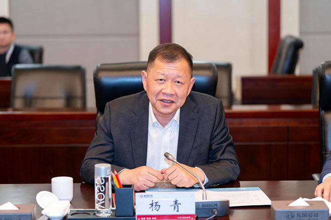 杨青 杨青