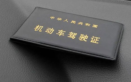 全国政协委员杨军日： 建议增设自动挡货车驾驶证类别，解决物流业发展痛点_图片新闻