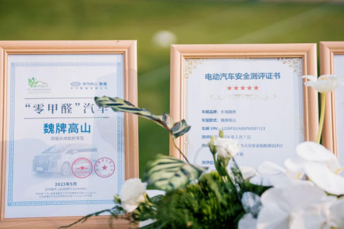 关于魏牌高山MPV的“金刚罩 你所关心的都在这里了
