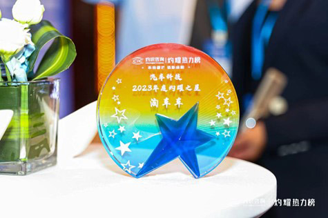 获奖奖杯 获奖奖杯