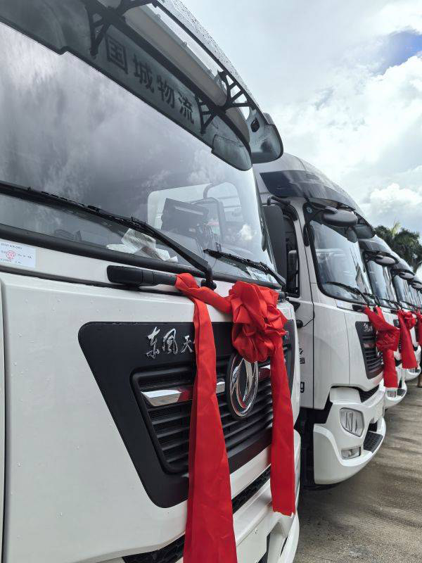 龙行天下 以客为先 龙擎捷报 30台东风天锦KR交付深圳国城