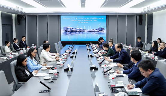 马达加斯加总统拉乔利纳与福田董事长常瑞交流 马达加斯加总统拉乔利纳与福田董事长常瑞交流