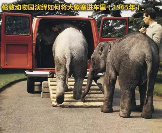 只有想不到没有做不到 轻客王者福特全顺传奇级的超级能力