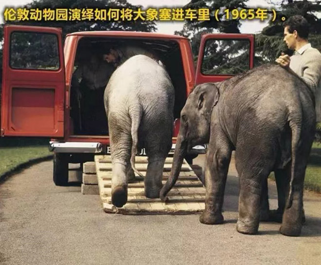 福特全顺畅销全球赢1200万用户青睐 福特全顺畅销全球赢1200万用户青睐
