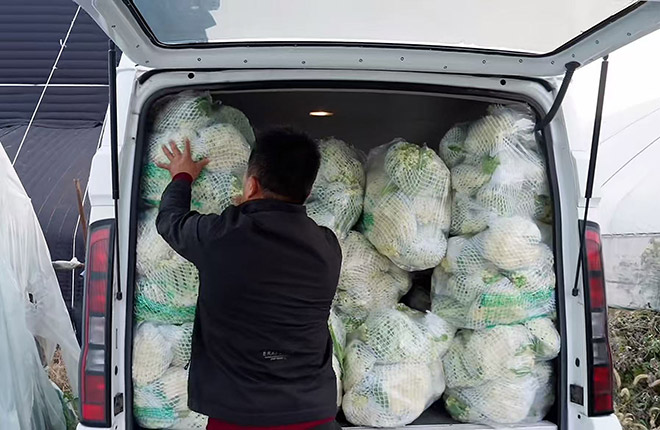 空间大动力强 牌成就河北果农的采摘生态园做大做强  
