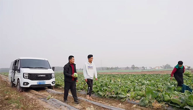 空间大动力强 牌成就河北果农的采摘生态园做大做强  