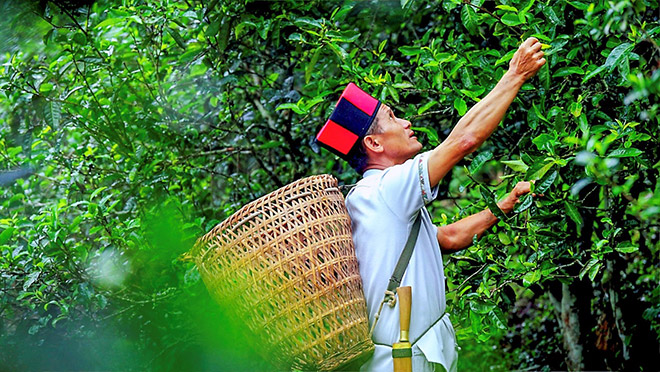 长城炮全性能家族 “钢铁马帮”探秘茶马古道