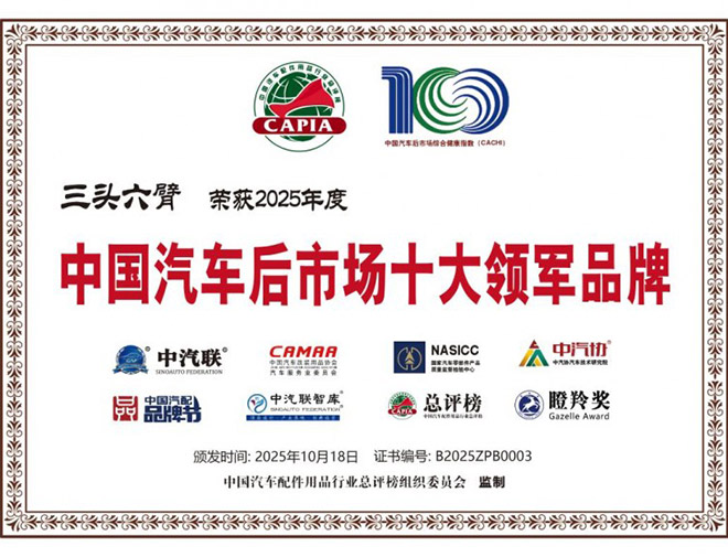 2025中国汽车后市场十大领军品牌