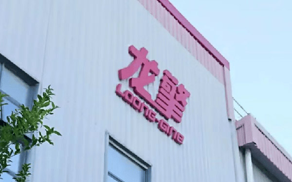 东风龙擎叶峰：战略、技术与服务铸就市场开拓基础