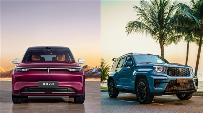 长城汽车2025年年度报告 营收再创新高