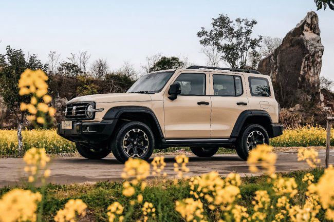 坦克300综合补贴至高18000元 共赴春日旅程